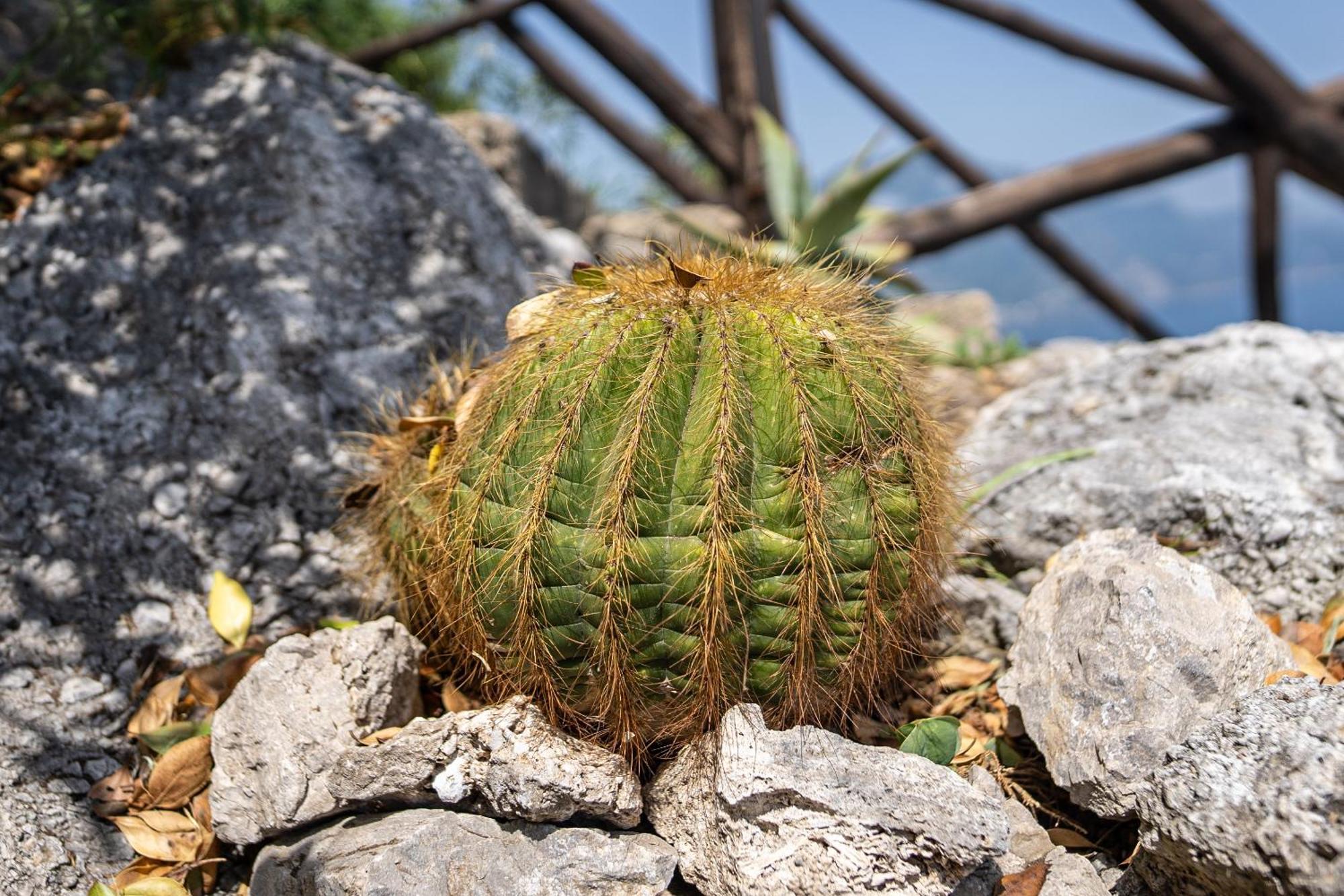 Tenuta Dell'Al.Ma. Amalfi Eksteriør bilde